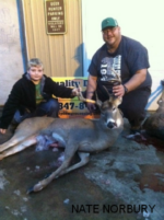 Man and boy holding killed buck